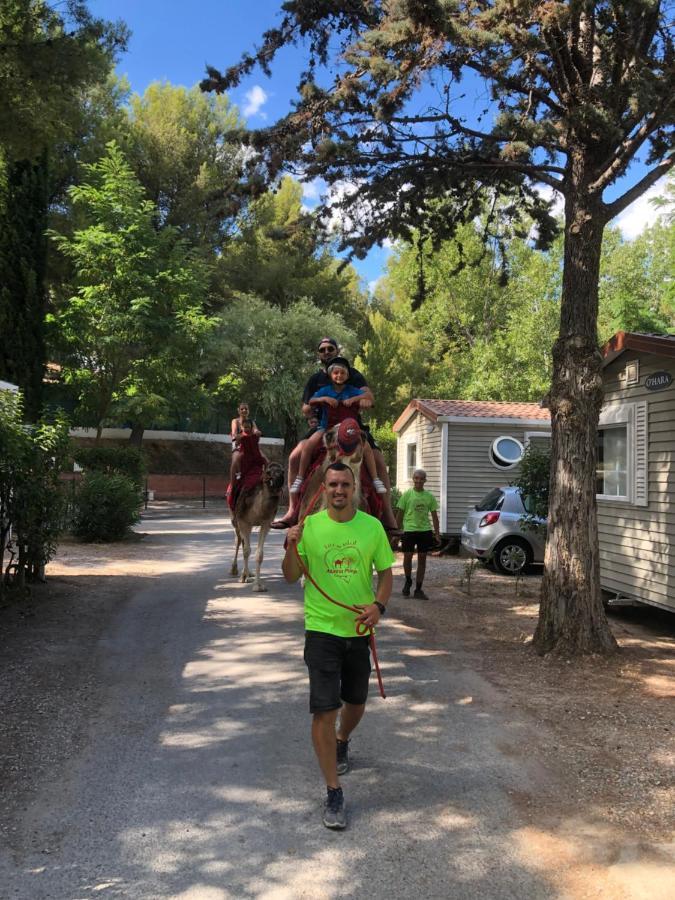 Camping Marina Plage Vitrolles  Esterno foto
